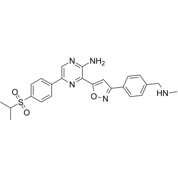 Berzosertib (Synonyms: VE-822; VX-970)