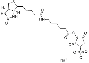 6-(生物素酰胺)己酸磺酸基琥珀酰亚胺酯钠盐;Sulphosuccinimidyl-6-(biotinamido)hexanoate;Sulfo NHS LC Biotin