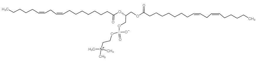 1,2-二亚油酰基-sn-甘油-3-磷酸胆碱