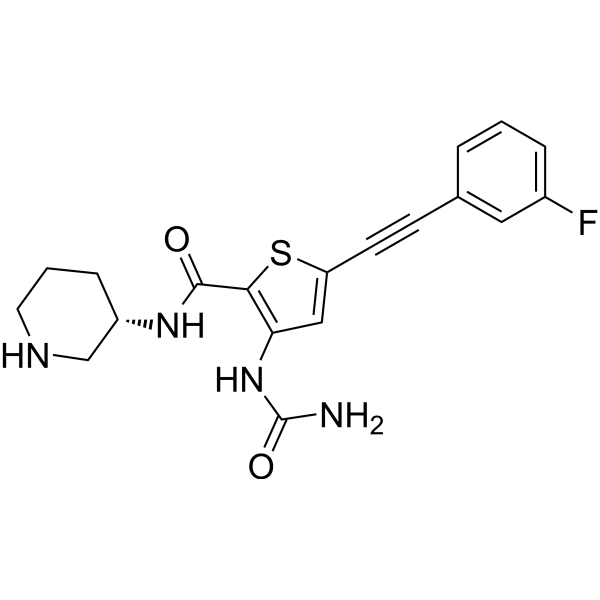 PHI-101