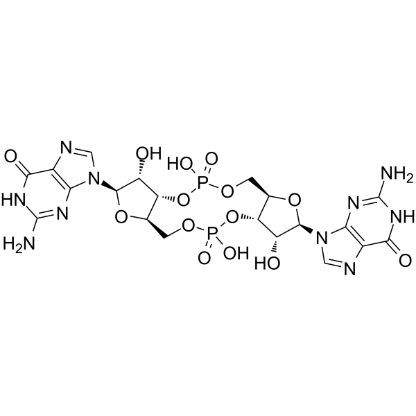 环二GMP