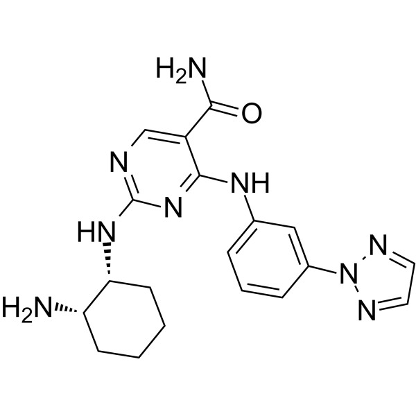 PRT062607(P505-15)