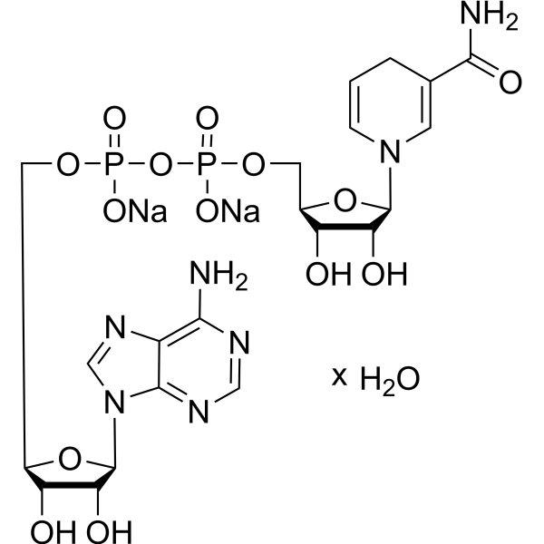 NADH disodium hydrate