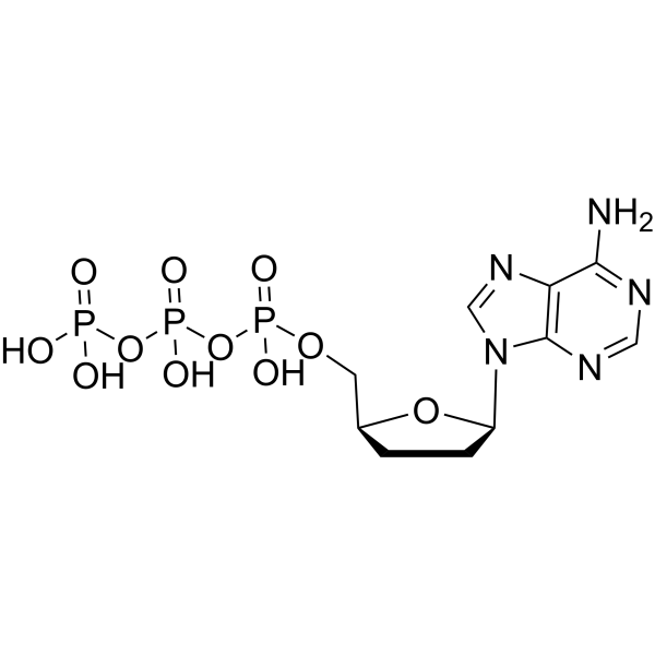 ddATP(2',3'-Dideoxyadenosine 5'-triphosphate)